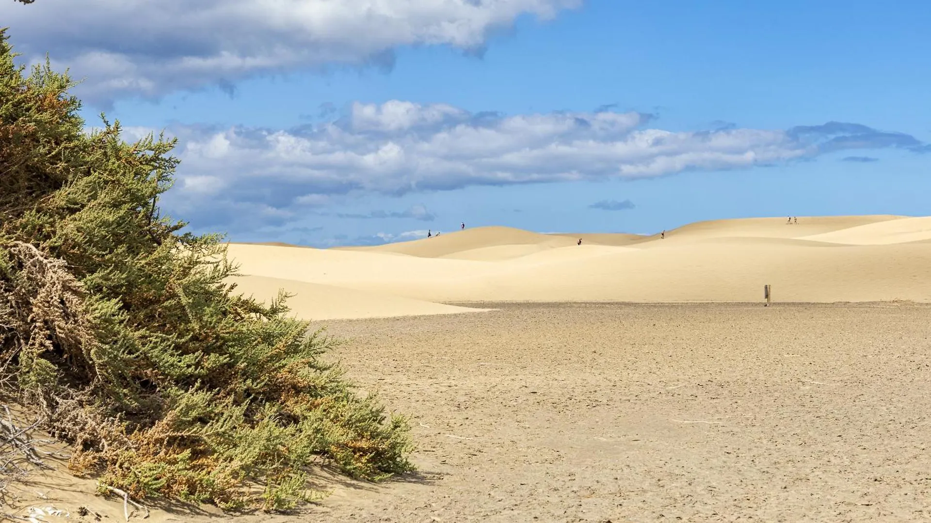 Smartr Maspalomas Corinto Playa del Ingles  2*, Playa del Ingles (Gran Canaria) Spain